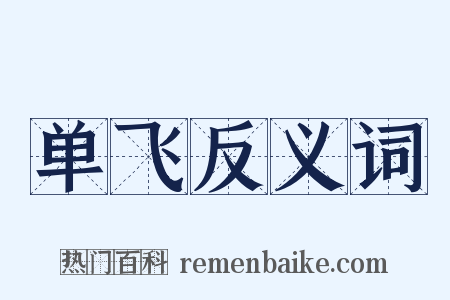 单飞反义词是什么意思的图片